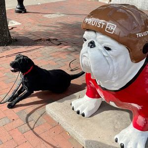 Meet your Posher, Ann